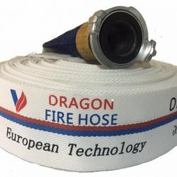 https://www.dtf.com.vn/uploads/2023_04/d50_dragon_1681879880.png
